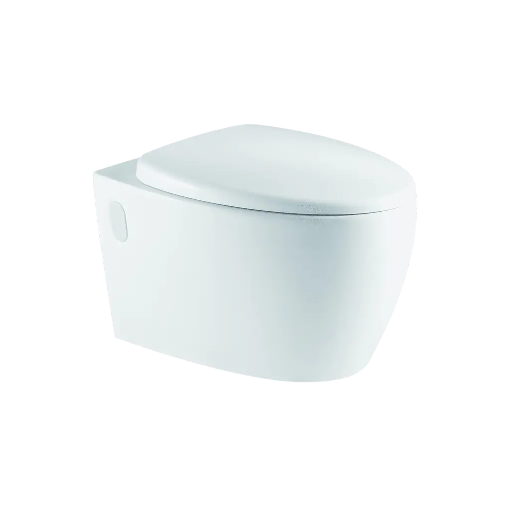 Wall Hung Toilet Rimless With Soft Close UF Cover