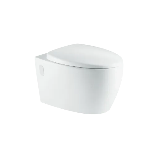 Wall Hung Toilet Rimless With Soft Close UF Cover