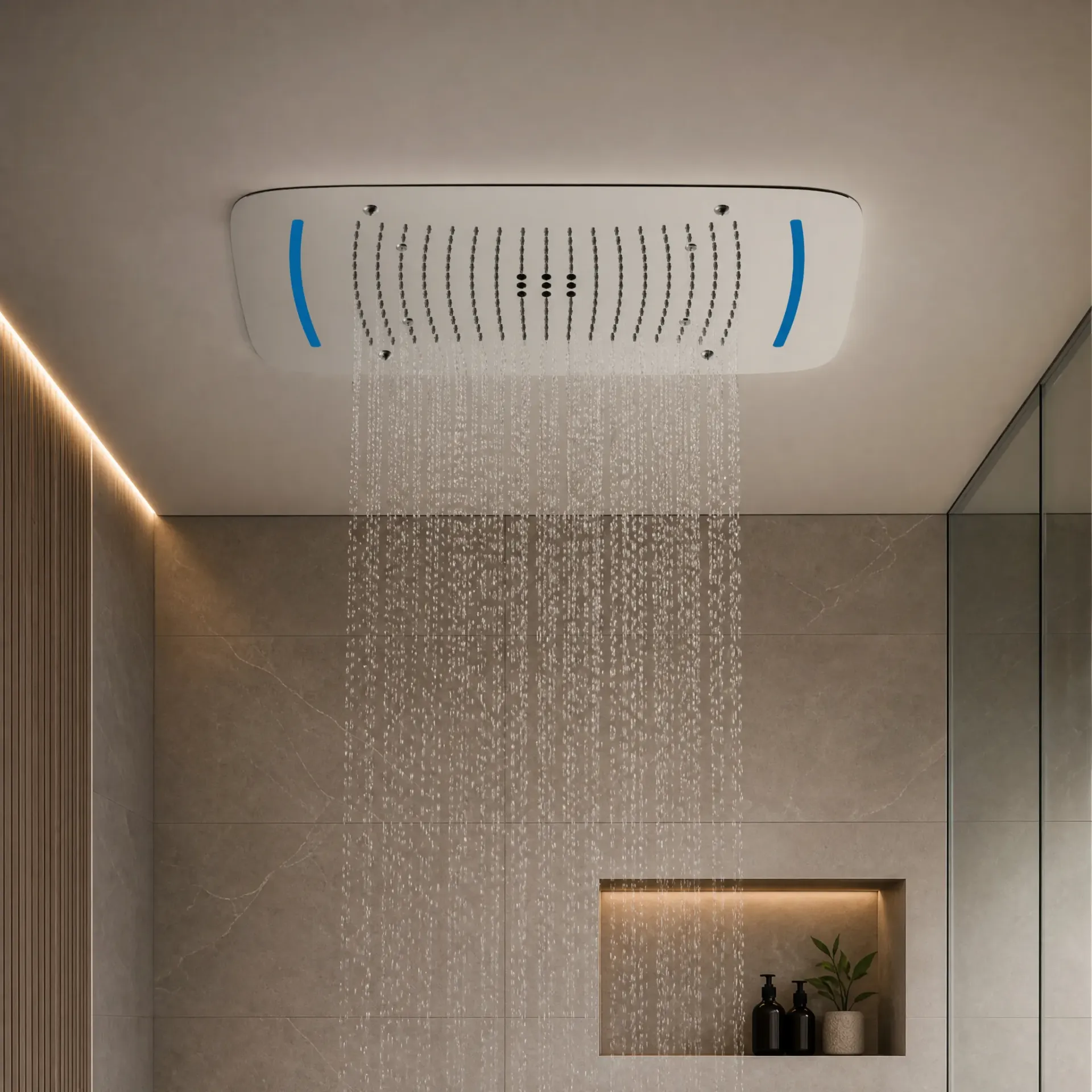 Ceiling Shower Chrome