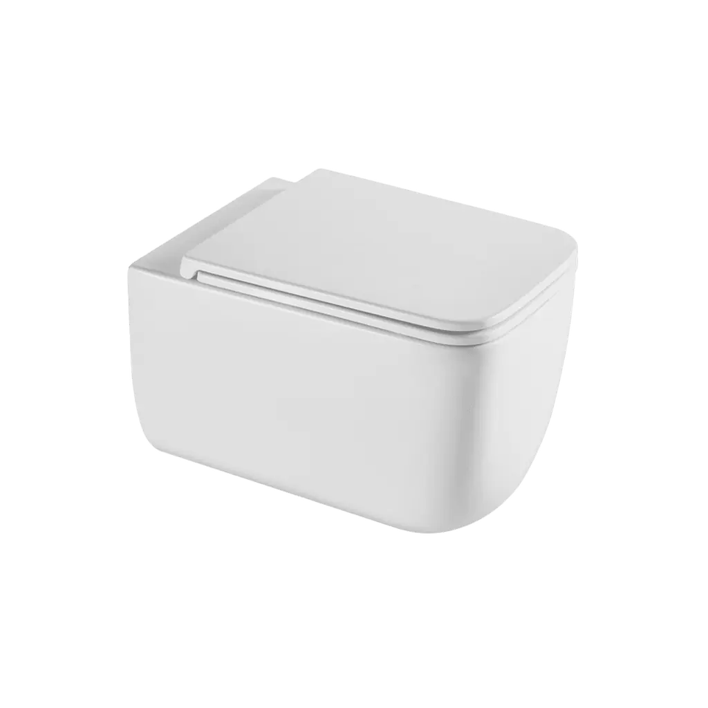Wall Hung Toilet Ultra Quiet With Soft Close UF Cover