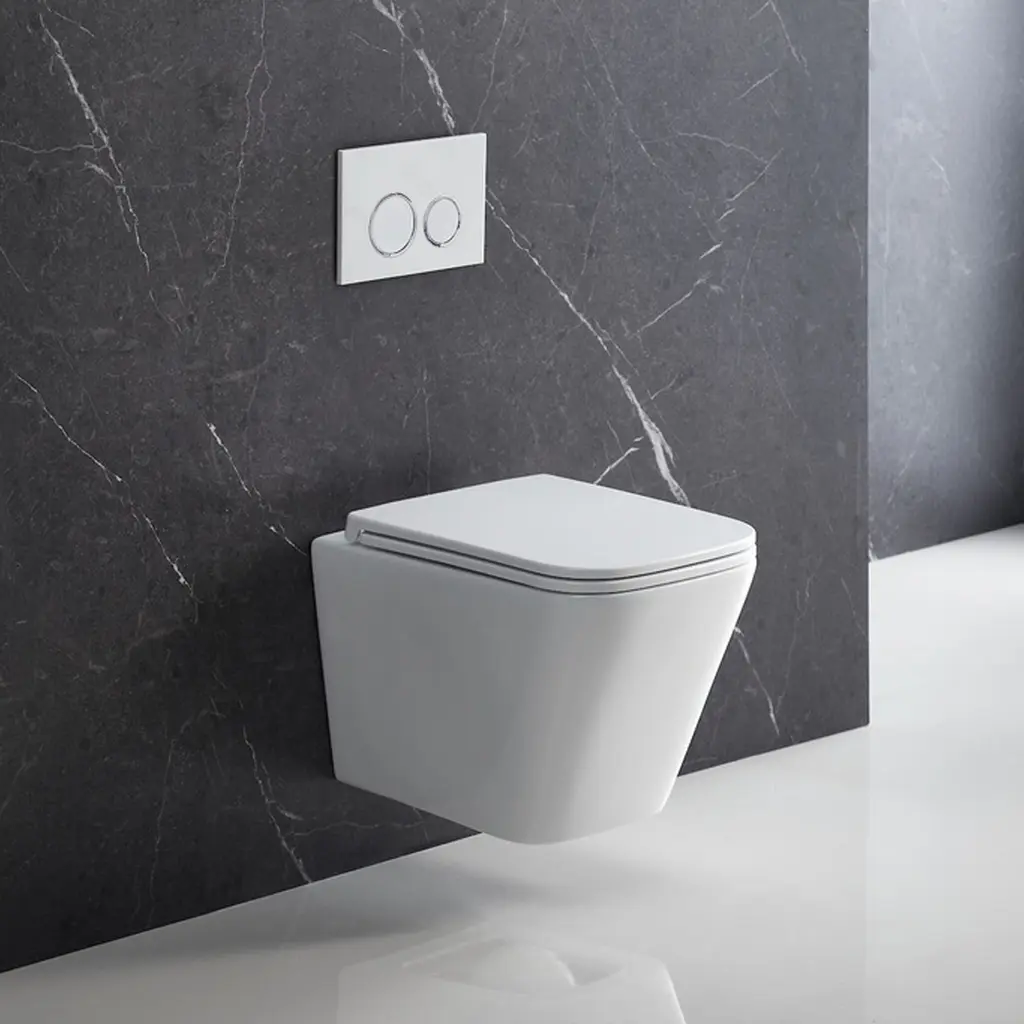Wall Hung Toilet Ultra Quiet With Soft Close UF Cover
