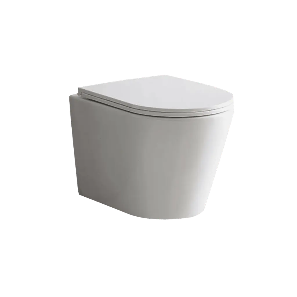 Wall Hung Toilet Ultra Quiet With Soft Close UF Cover