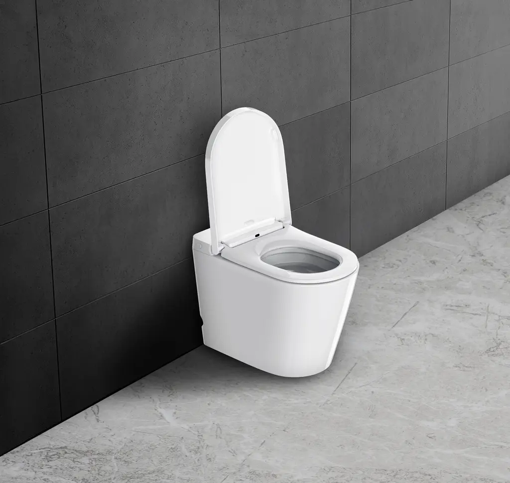 Tankless Intelligent Toilet