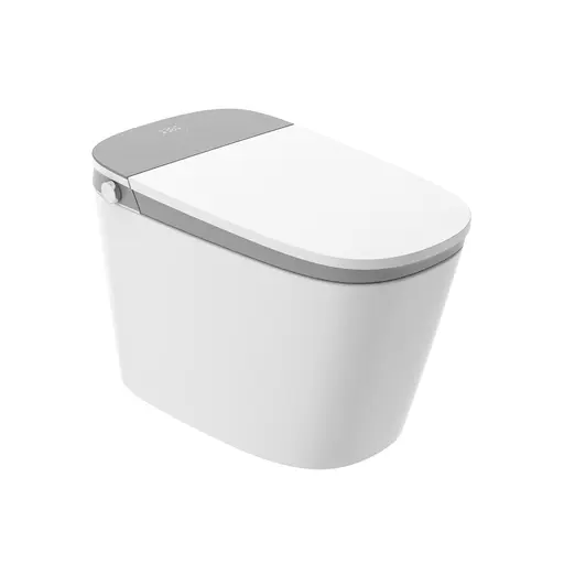 SWC-8842 Smart Toilet