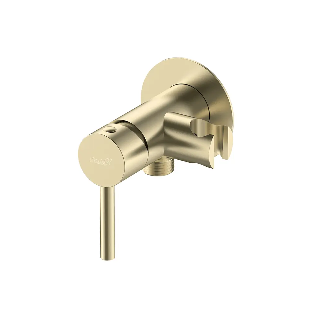 Shattaf Mixer Round Brushed Gold