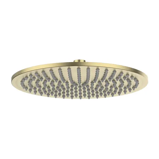 Rain Shower Round Brass Brushed Gold