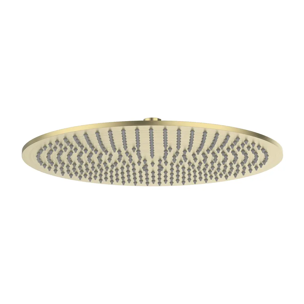 Rain Shower Round Brass Brushed Gold