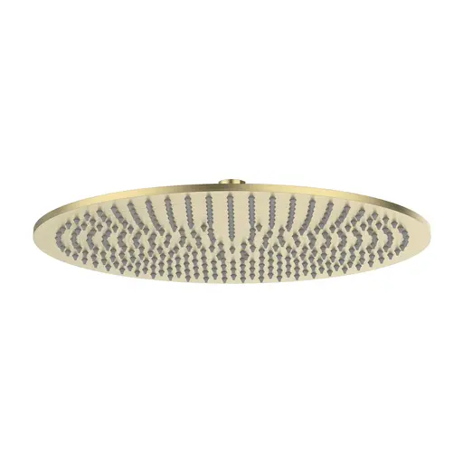 Rain Shower Round Brass Brushed Gold