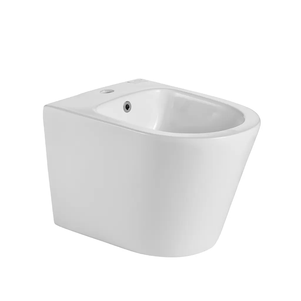 Wall Hung Bidet