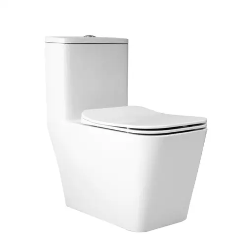 Siphonic WC With UF Cover 250mm