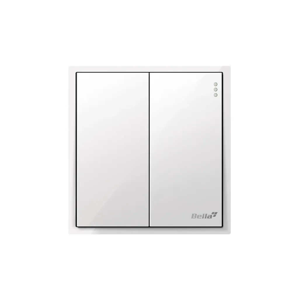Dynamo 10AX 2 Gang 2 Way Switch