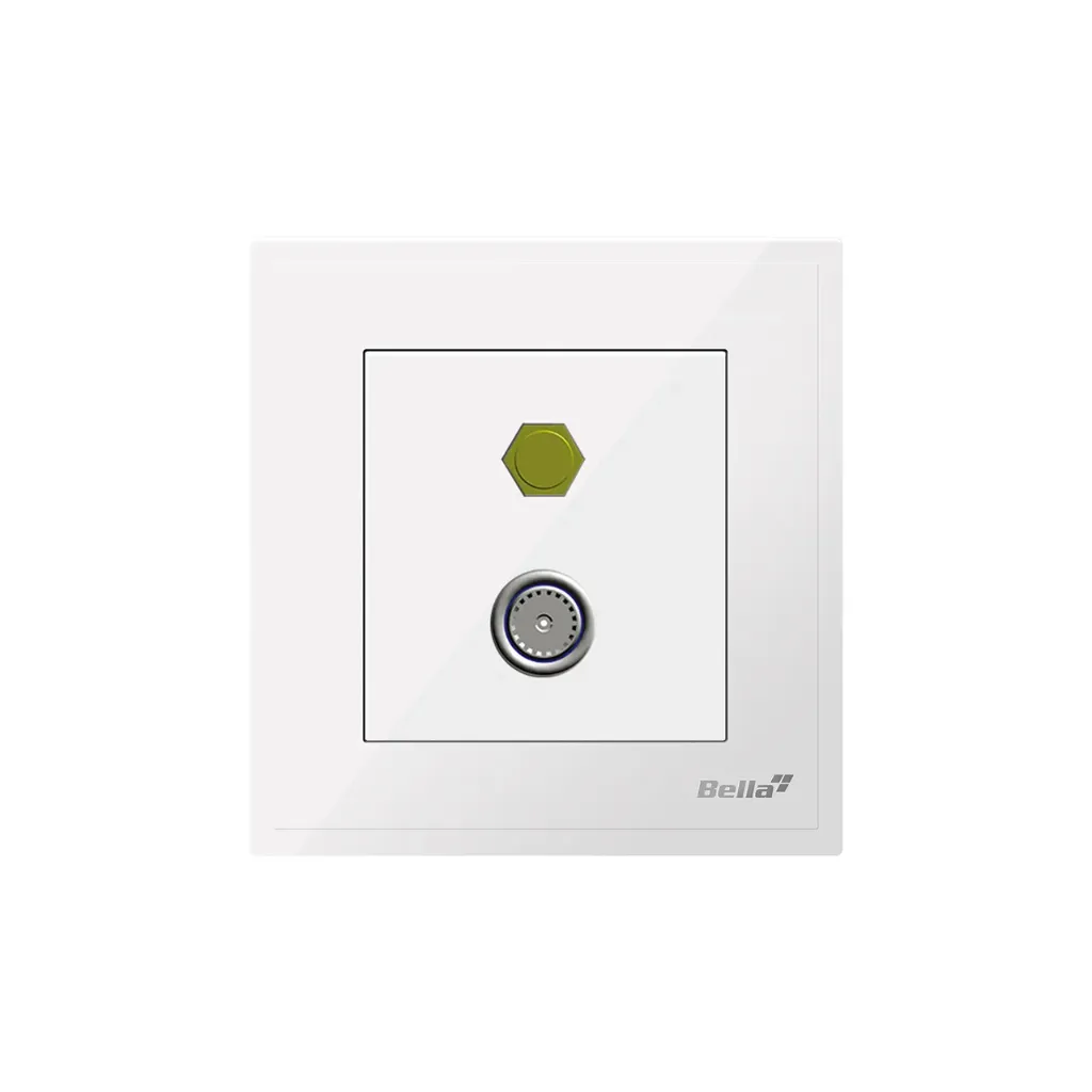 Dynamo TV & Satellite Socket