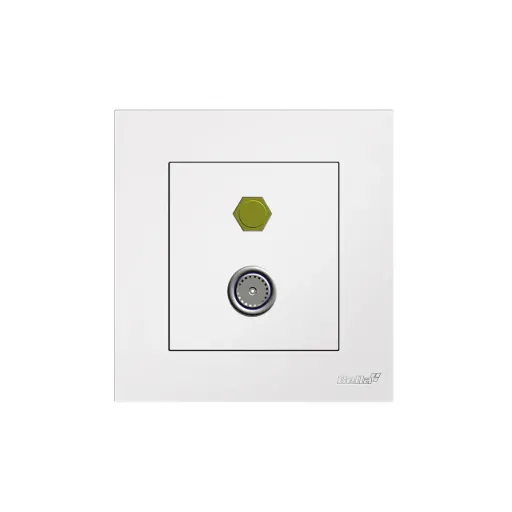 Vantage TV & Satellite Socket