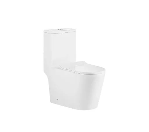 One Piece Toilet Washdown
