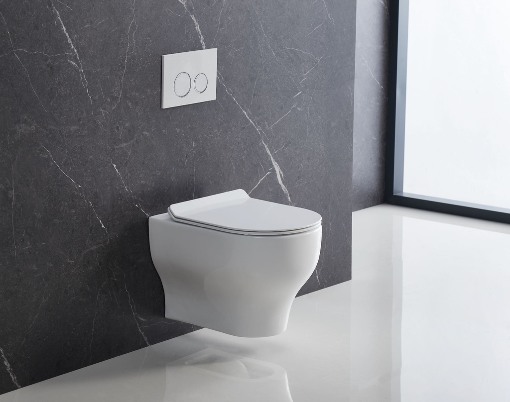 63 ER Wall Hung Toilet Rimless
