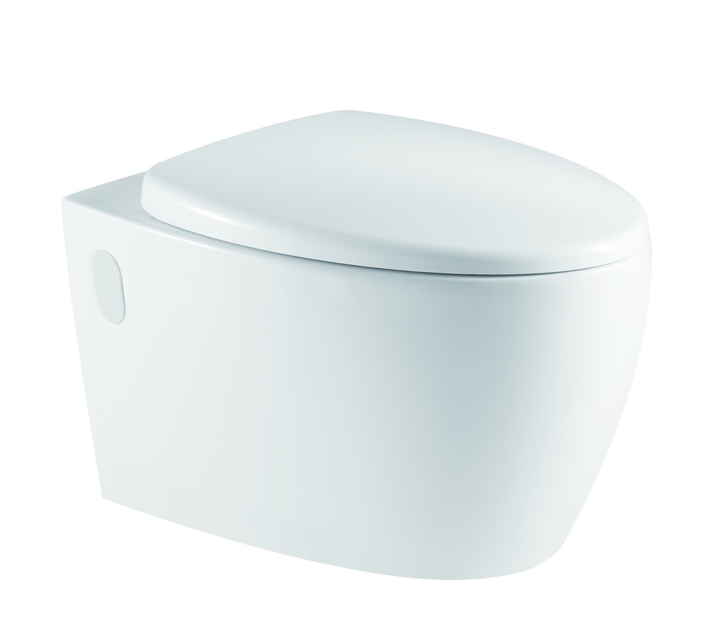 BL 1002 WT Wall Hung Toilet Rimless