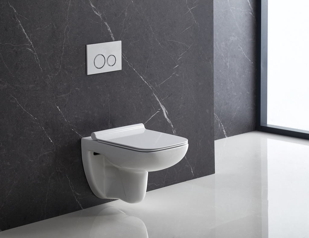BL 2005 WT Wall Hung Toilet Rimless