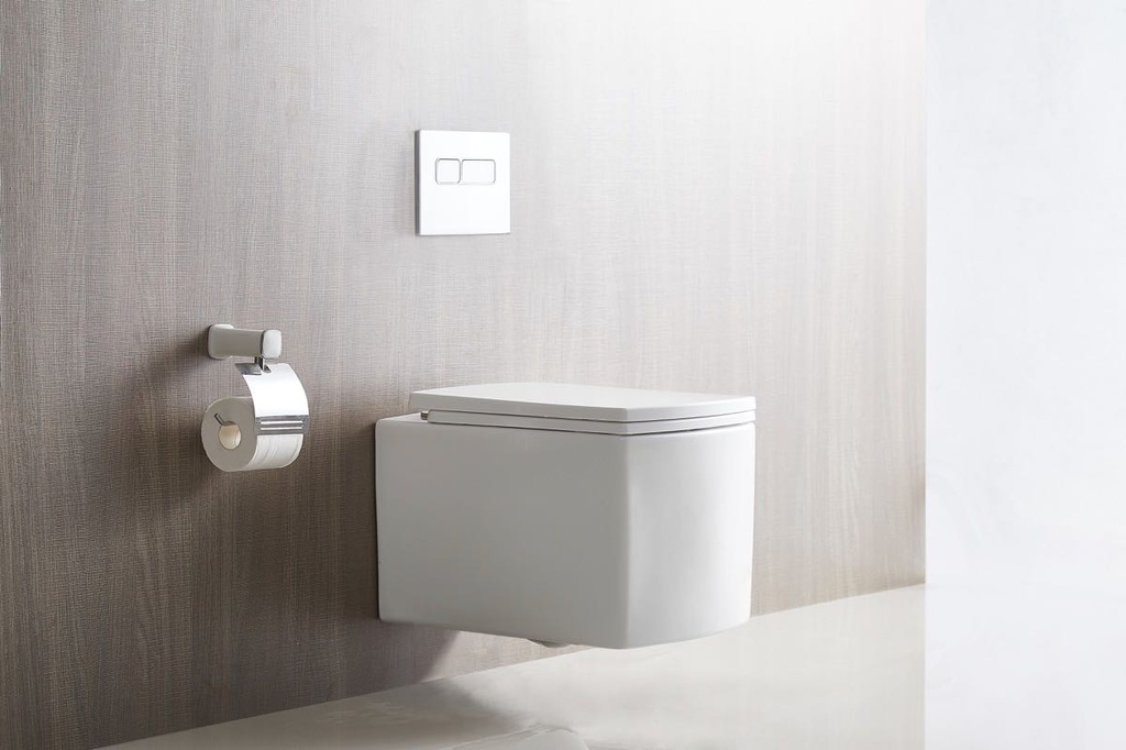 BL 048 WT Wall Hung Toilet Rimless+Blind Fixing