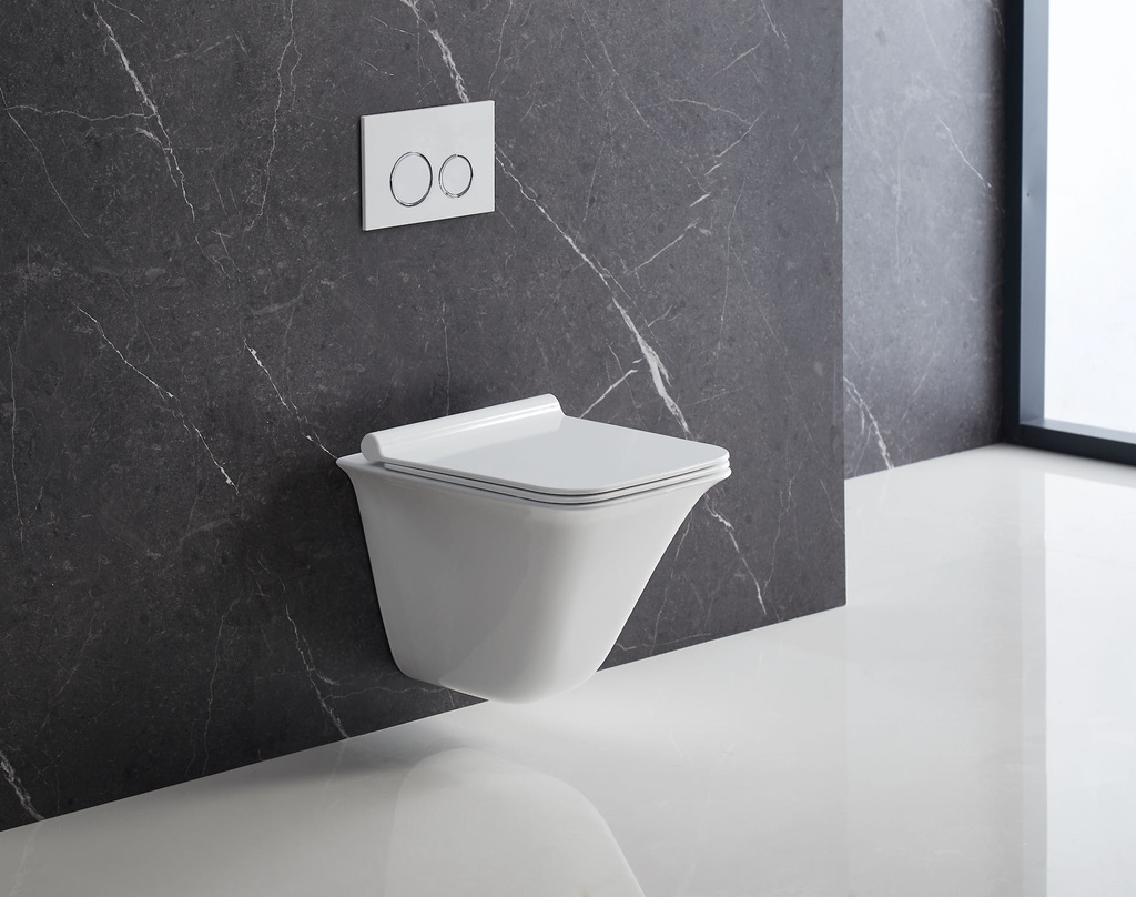 BL 054 WT Wall Hung Toilet Rimless