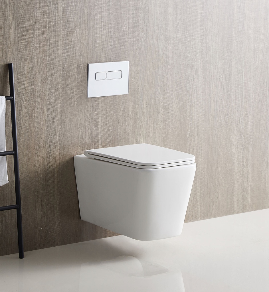 BL 057 WT Wall Hung Toilet Rimless