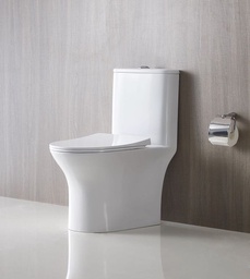 1194A WC 300mm+ GEBERIT Flush+ UF Cover