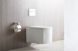 BL 048 WT Wall Hung Toilet Rimless+Blind Fixing